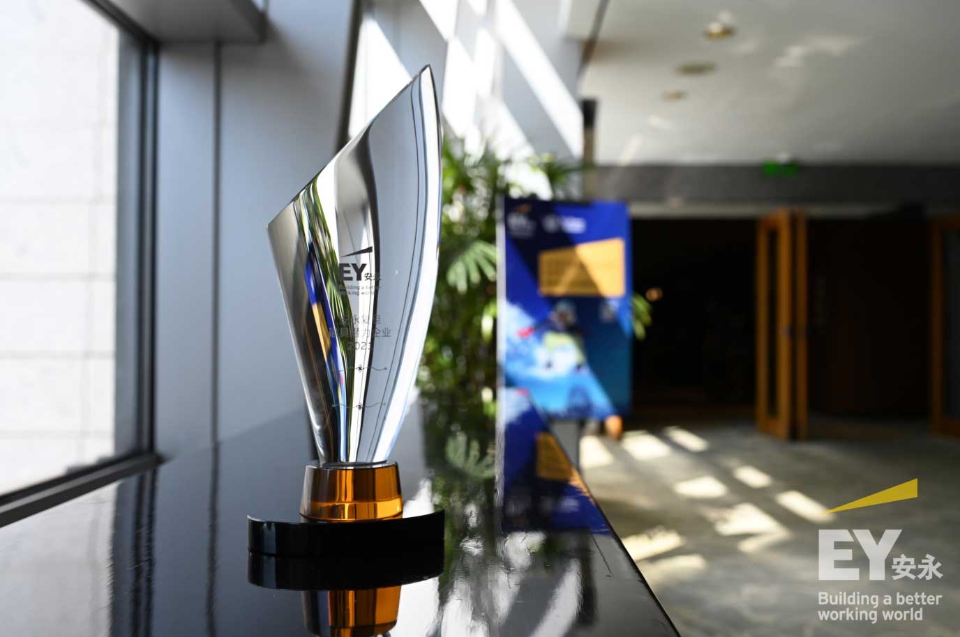 Ernst & Young Fudan Most<br>Promising  Enterprise Award